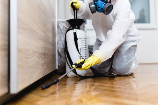 Best Best Pest Control Companies  in China Grove, NC