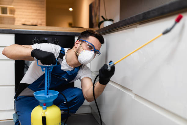 Best Pest Control for Restaurants  in China Grove, NC