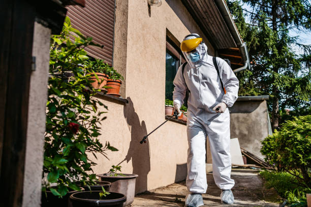 Best Bed Bug Extermination  in China Grove, NC