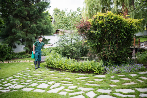 Best Wasp Removal Services  in China Grove, NC