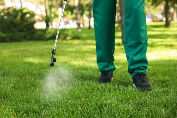 Best Ant Control Services  in China Grove, NC