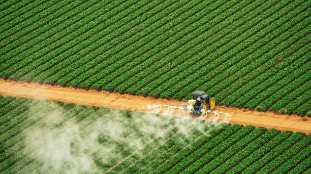 Best Pest Removal Services  in China Grove, NC
