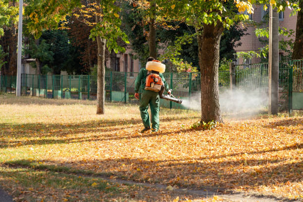 Best Pest Control for Businesses  in China Grove, NC