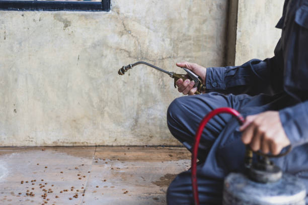 Pest Control for Restaurants in China Grove, NC